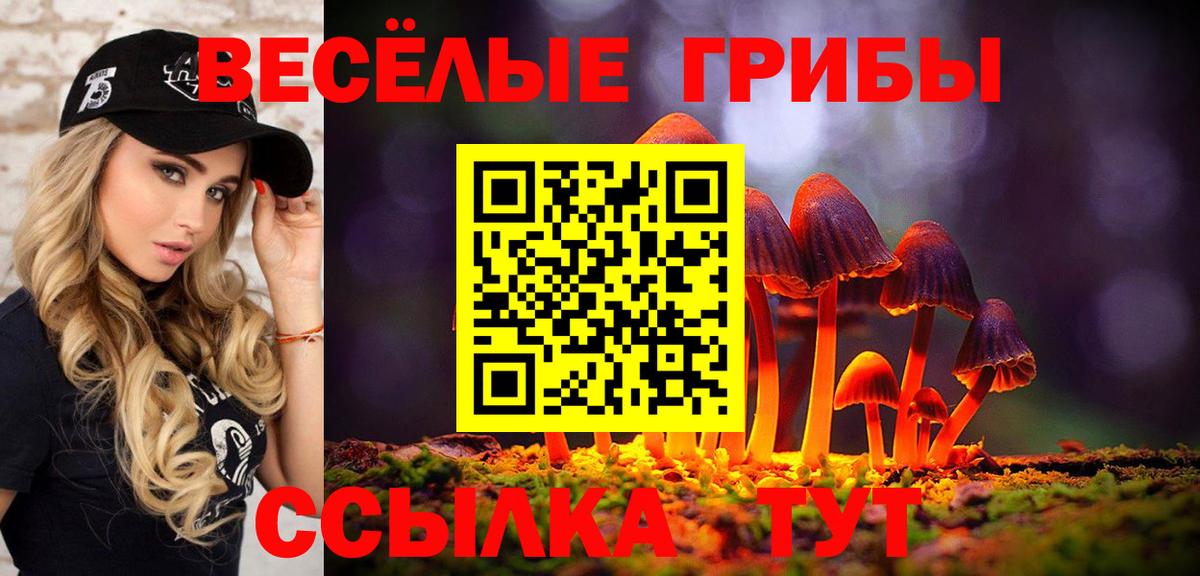 Краснознаменск  Галлюциногенные грибы мухоморы  Вход с VPN 